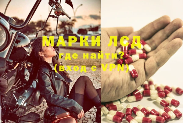 молекула духа Аркадак