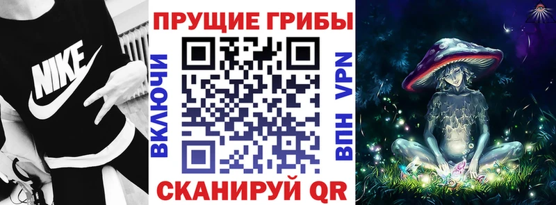 Купить  Трубчевск  Псилоцибиновые грибы мицелий 